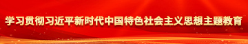 用大鸡吧操我我的骚穴视频学习贯彻习近平新时代中国特色社会主义思想主题教育